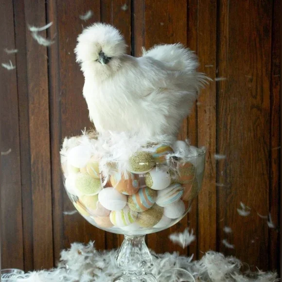 Glitterville Studios Creamer Dish Silkie Chicken Dolly Poulet Handmade Pitcher - Picture 12 of 12